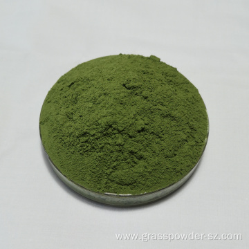 Organic Young Barley Grass Powder